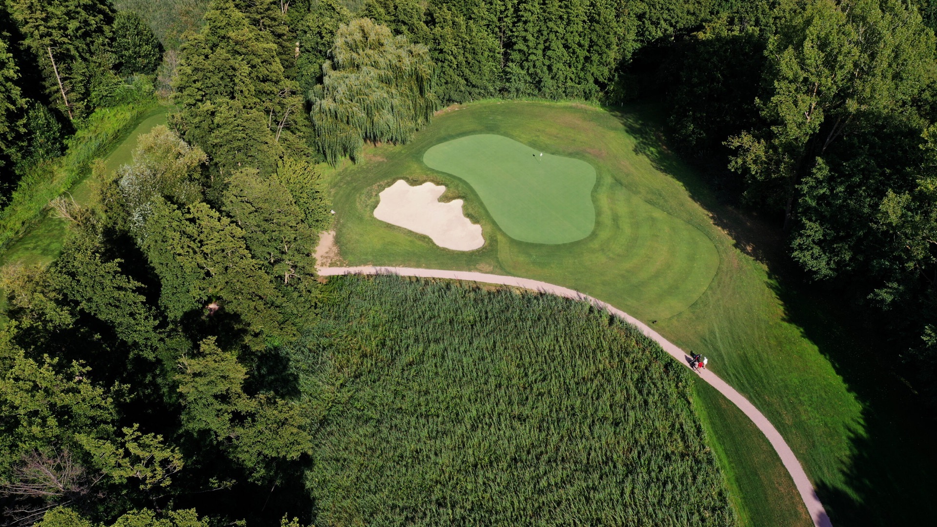 Pfälzer Wald im Hintergrund