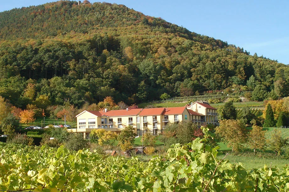 Hotel Alte Rebschule
